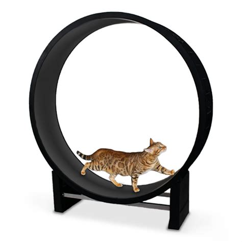 Revolutionize Your Cat's Exercise with 3D Printed Cat Wheel